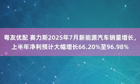 粤友优配 赛力斯2025年7月新能源汽车销量增长，上半年净利预计大幅增长66.20%至96.98%