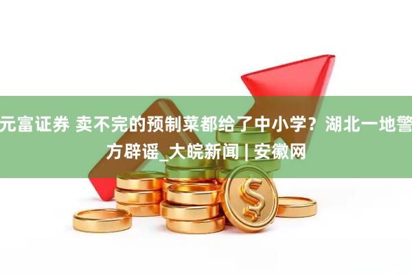 元富证券 卖不完的预制菜都给了中小学？湖北一地警方辟谣_大皖新闻 | 安徽网
