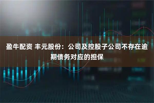 盈牛配资 丰元股份：公司及控股子公司不存在逾期债务对应的担保