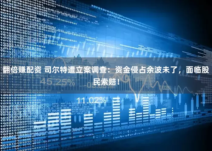 翻倍赚配资 司尔特遭立案调查：资金侵占余波未了，面临股民索赔！