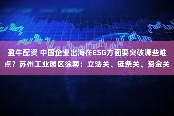 盈牛配资 中国企业出海在ESG方面要突破哪些难点？苏州工业园区徐蓉：立法关、链条关、资金关